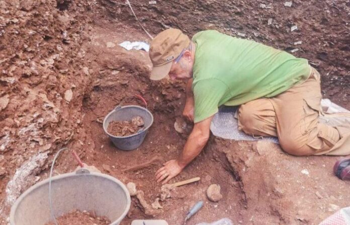 Phát hiện 9 bộ di cốt niên đại hàng nghìn năm ở Nghệ An Phát hiện 9 bộ di cốt niên đại hàng nghìn năm ở Nghệ An