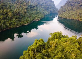 Phê duyệt Nhiệm vụ lập Quy hoạch tu bổ, phục hồi Khu bảo tồn thiên nhiên Na Hang – Lâm Bình Phê duyệt Nhiệm vụ lập Quy hoạch tu bổ, phục hồi Khu bảo tồn thiên nhiên Na Hang - Lâm Bình