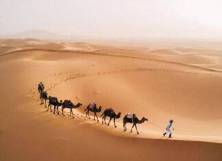 Sa mạc Sahara từng bạt ngàn xanh tươi, là nơi sinh sống của nhóm người tiền sử Sa mạc Sahara từng bạt ngàn xanh tươi, là nơi sinh sống của nhóm người tiền sử