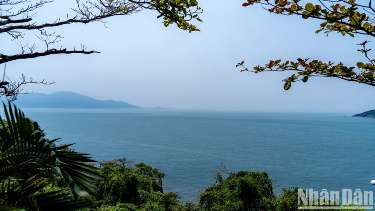 Từ ngọn Hải Đăng Sơn Ch&agrave; nh&igrave;n về th&agrave;nh phố Đ&agrave; Nẵng