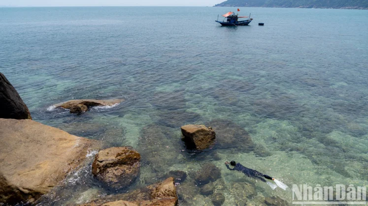 &ldquo;H&ograve;n ngọc&rdquo; n&agrave;y c&oacute; hệ sinh th&aacute;i dưới nước đa dạng với hơn 144 lo&agrave;i san h&ocirc;, 135 lo&agrave;i rong biển, 162 lo&agrave;i c&aacute; đầy m&agrave;u sắc tạo th&agrave;nh bức tranh lung linh dưới biển.