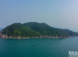 Sơn Chà: Nơi núi rừng hùng vĩ chạm vào sóng biển xanh Sơn Chà: Nơi núi rừng hùng vĩ chạm vào sóng biển xanh