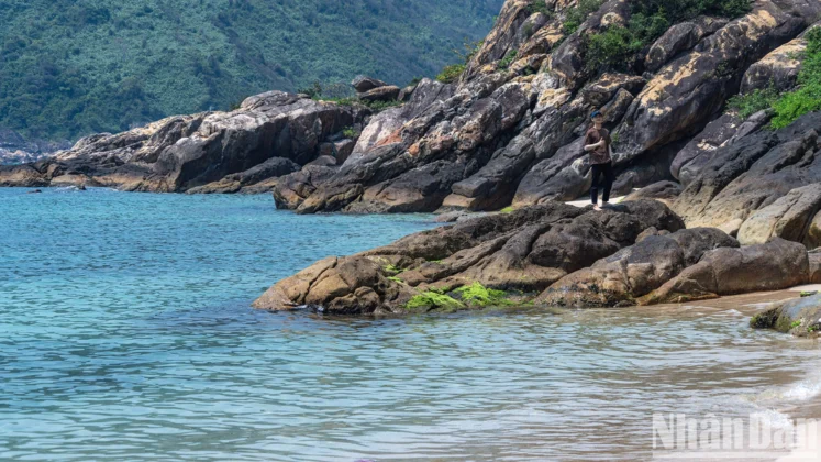 Những bờ đ&aacute; tr&ecirc;n đảo l&agrave; nơi l&yacute; tưởng để t&igrave;m kiếm những bức ảnh đẹp.