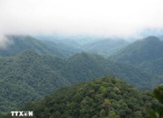 Khu bảo tồn thiên nhiên Xuân Liên trở thành vườn quốc gia thứ 35 cả nước Khu bảo tồn thiên nhiên Xuân Liên trở thành vườn quốc gia thứ 35 cả nước