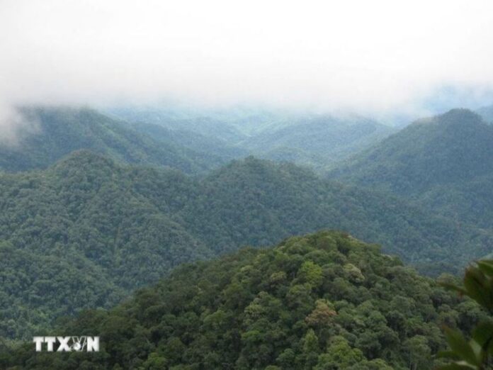 Khu bảo tồn thiên nhiên Xuân Liên trở thành vườn quốc gia thứ 35 cả nước