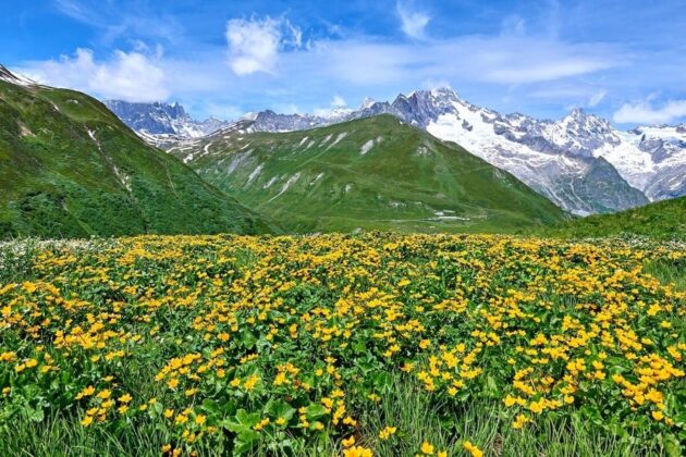 D&atilde;y Alps: D&atilde;y n&uacute;i tr&aacute;ng lệ ở ch&acirc;u &Acirc;u, trải d&agrave;i qua một số quốc gia bao gồm Ph&aacute;p, Thụy Sĩ, Italia, &Aacute;o, Đức v&agrave; Slovenia. Alps l&agrave; một trong những d&atilde;y n&uacute;i nổi tiếng v&agrave; mang t&iacute;nh biểu tượng nhất tr&ecirc;n thế giới.