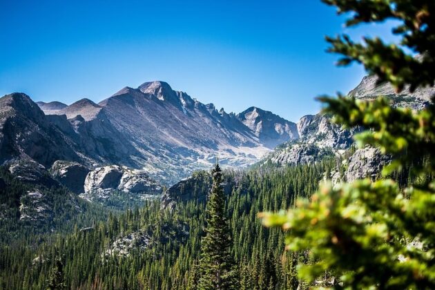 D&atilde;y Rockies: Đ&acirc;y l&agrave; d&atilde;y n&uacute;i lớn ở ph&iacute;a t&acirc;y Bắc Mỹ, chạy từ bắc xuống nam. D&atilde;y n&uacute;i Rockies c&oacute; chiều d&agrave;i hơn 4.800 km, k&eacute;o d&agrave;i từ New Mexico ở t&acirc;y nam nước Mỹ cho đến điểm cực bắc British Columbia ở ph&iacute;a t&acirc;y Canada. Động vật hoang d&atilde; ở đ&acirc;y đa dạng, gồm nai sừng tấm, cừu sừng lớn, gấu đen, gấu x&aacute;m Bắc Mỹ, ch&oacute; s&oacute;i v&agrave; nhiều lo&agrave;i chim.