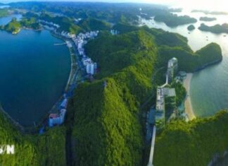 Bộ Tài chính triển khai kế hoạch phát triển thị trường carbon