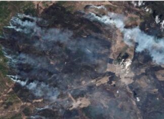 Siberia cháy rừng nghiêm trọng, hơn 600.000 ha bị thiêu rụi Siberia cháy rừng nghiêm trọng, hơn 600.000 ha bị thiêu rụi