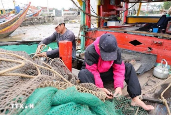 Ngư dân Quảng Nam 'thu về' hàng chục triệu đồng sau mỗi chuyến câu mực Ngư dân Quảng Nam 'thu về' hàng chục triệu đồng sau mỗi chuyến câu mực