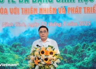 Hệ sinh thái đa dạng sinh học của Việt Nam: 'Báu vật toàn cầu' đang bị đe dọa