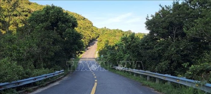 Cảnh sắc trong Khu bảo tồn thiên nhiên Sơn Trà, lá phổi xanh giữ “nhịp thở” cho thành phố Đà Nẵng.