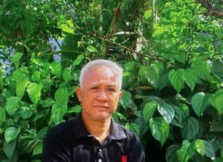 Chân dung văn nghệ sĩ, một dòng thơ vừa lạ vừa quen... - Tác giả: Nhà văn Đặng Văn Sinh