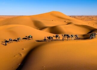 Khám phá những bí ẩn về sa mạc Sahara Khám phá những bí ẩn về sa mạc Sahara