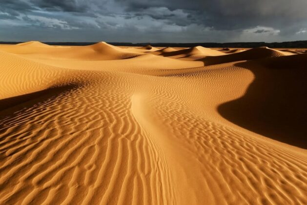 C&aacute;c ốc đảo hoặc một số khu vực c&oacute; lượng mưa cao của sa mạc Sahara sở hữu quần thể động thực vật phong ph&uacute;. Nhưng nh&igrave;n chung phần lớn diện t&iacute;ch sa mạc n&agrave;y &iacute;t sự hiện diện của sự sống.