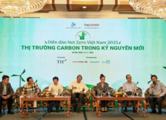 Thị trường carbon trong kỷ nguyên mới: Chìa khóa mở đường cho mục tiêu Net Zero 2050 Thị trường carbon trong kỷ nguyên mới: Chìa khóa mở đường cho mục tiêu Net Zero 2050