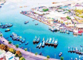 Lâm Đồng: Tiềm năng và cơ hội phát triển