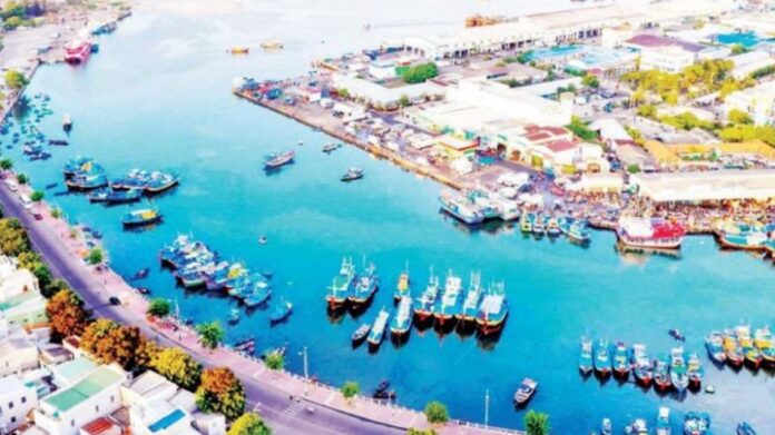 Lâm Đồng: Tiềm năng và cơ hội phát triển