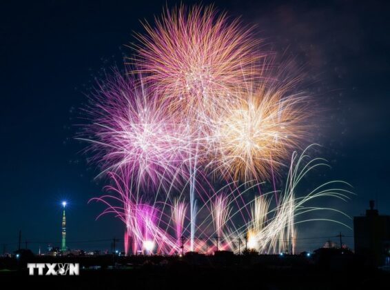 Ph&aacute;o hoa rực s&aacute;ng trời đ&ecirc;m Tokyo, xua đi c&aacute;i n&oacute;ng oi ả của m&ugrave;a H&egrave;. (Ảnh: Xu&acirc;n Giao/TTXVN)
