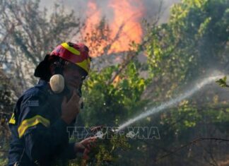 Cháy rừng quy mô lớn trên đảo Crete của Hy Lạp, hàng nghìn người phải sơ tán