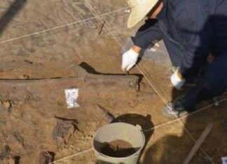 Loài người khác ở Trung Quốc: Phát hiện ‘kho báu gỗ’ 300.000 năm Loài người khác ở Trung Quốc: Phát hiện 'kho báu gỗ' 300.000 năm
