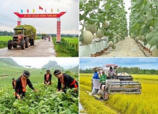 Xây dựng cơ sở dữ liệu các chương trình mục tiêu quốc gia