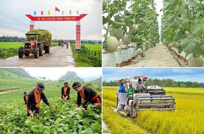 Xây dựng cơ sở dữ liệu các chương trình mục tiêu quốc gia Xây dựng cơ sở dữ liệu các chương trình mục tiêu quốc gia