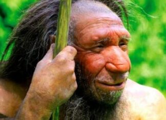 Bằng chứng mới về tư duy biểu tượng của người Neanderthal Bằng chứng mới về tư duy biểu tượng của người Neanderthal