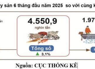 6 tháng đầu năm 2025, sản xuất nông nghiệp duy trì mức tăng trưởng