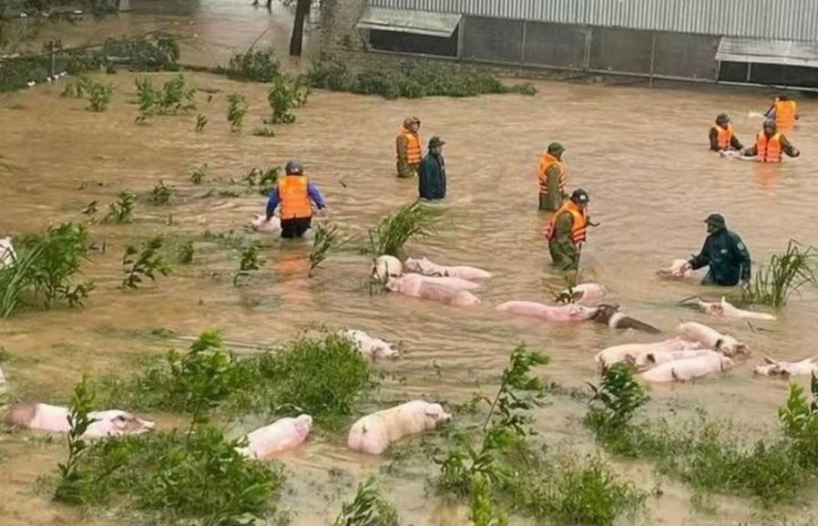 Bão số Bualoi làm 32 người chết và mất tích, 104.000 căn nhà bị hư hỏng