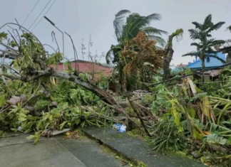 Những hình ảnh đầu tiên sau khi bão Bualoi đổ bộ vào Philippines Những hình ảnh đầu tiên sau khi bão Bualoi đổ bộ vào Philippines
