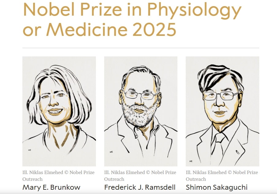 Hội đồng Nobel tại Viện Karolinska đã xướng tên bộ 3 nhà khoa học Mary E.Brunkow, Fred Ramsdell (cùng là người Mỹ) và Shimon Sakaguchi (người Nhật Bản)