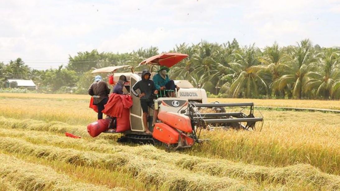 Hiệu quả mô hình lúa phát thải thấp ở Vĩnh Long