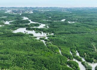 Hướng tới mục tiêu Net Zero: Cơ hội song hành cùng thách thức Hướng tới mục tiêu Net Zero: Cơ hội song hành cùng thách thức