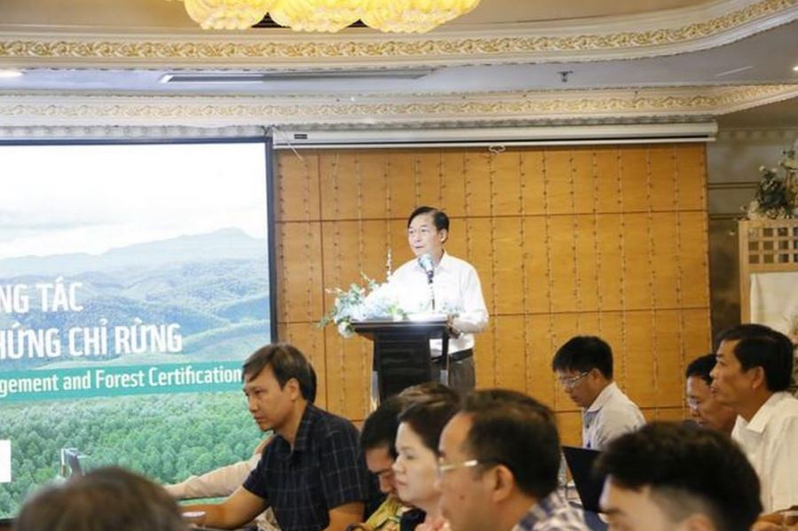 Quản lý rừng bền vững: Nền tảng để 'hóa giải' những thách thức của ngành gỗ