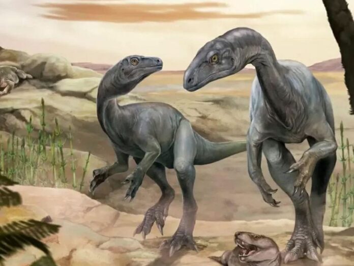 Argentina: Tìm thấy hóa thạch khủng long nhỏ, dài khoảng 2 mét và nặng 18kg