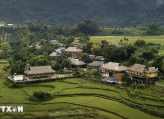 Bản Giang Mỗ: Nơi văn hóa Mường cổ hòa quyện cùng du lịch bền vững Bản Giang Mỗ: Nơi văn hóa Mường cổ hòa quyện cùng du lịch bền vững