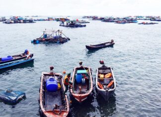 Cà Mau bứt phá kinh tế biển, hướng tới trung tâm năng lượng sạch và thủy sản