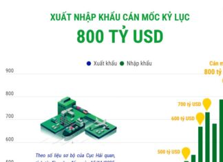 Kim ngạch xuất nhập khẩu của cả nước cán mốc kỷ lục 800 tỷ USD