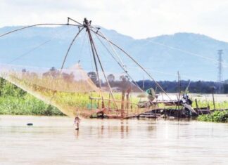 Dập dờn mùa cá ra sông ở Tây Nam Bộ