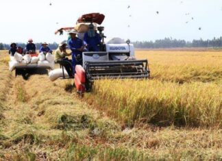 Ngành Nông nghiệp và Môi trường phải đổi mới mạnh mẽ, bắt kịp xu hướng toàn cầu