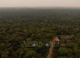 Trách nhiệm của toàn nhân loại Trách nhiệm của toàn nhân loại