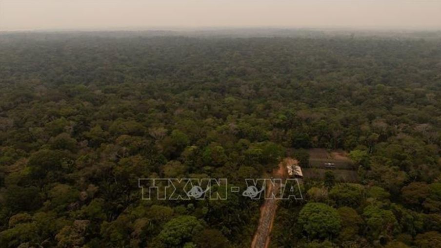 Trách nhiệm của toàn nhân loại