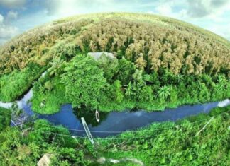 Thị trường carbon: Cơ hội lớn để Việt Nam 'mở rộng cánh cửa' phát triển xanh