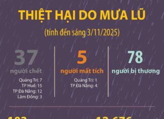 [Infographic]: Thiệt hại do mưa lũ tính đến sáng 3/11/2025