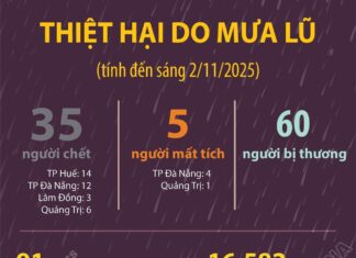 [Infographic]: Thiệt hại do mưa lũ ở các tỉnh miền Trung tính đến sáng 2/11/2025