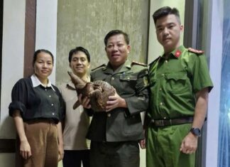 Người dân bắt được con vật quý hiếm, nặng gần 4 kg Người dân bắt được con vật quý hiếm, nặng gần 4 kg