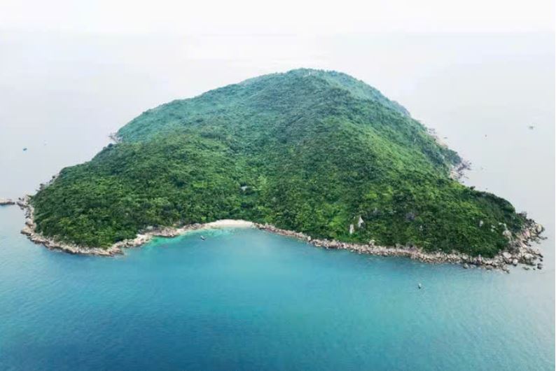 Vì sao Huế bàn giao hơn 740 ha rừng cho Đà Nẵng?