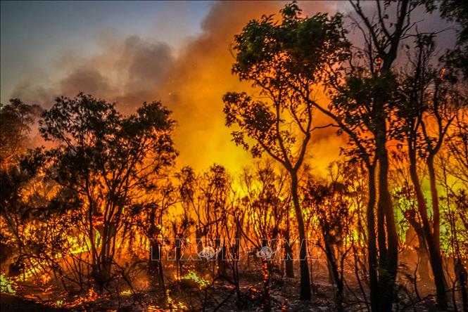 Cháy rừng dữ dội tại bang Tây Australia-min Cháy rừng dữ dội tại bang Tây Australia