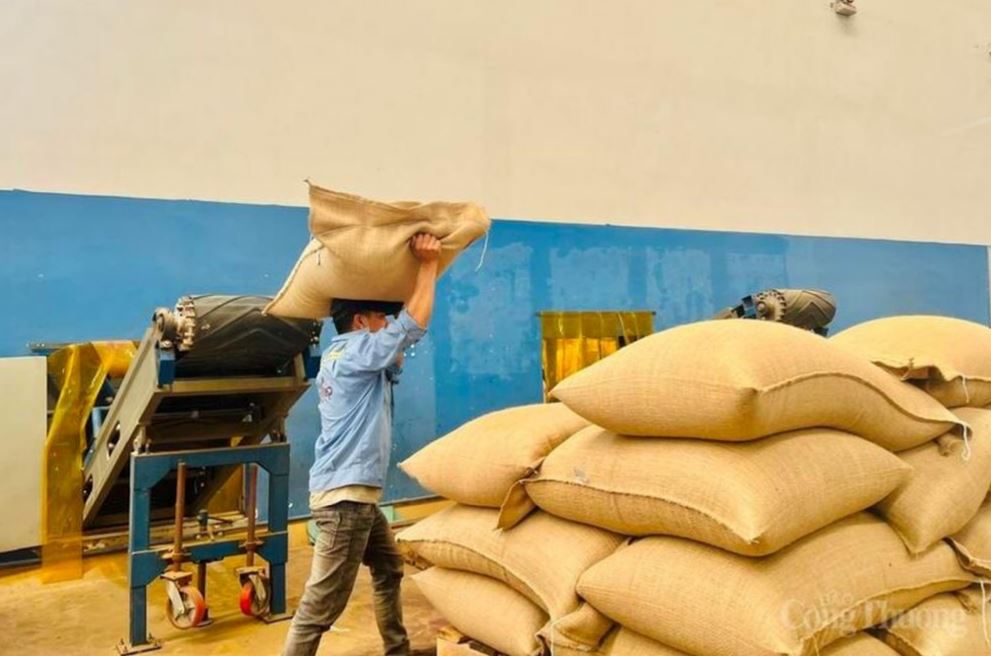 Gia Lai vượt mốc 3,2 tỷ USD, bứt phá toàn diện